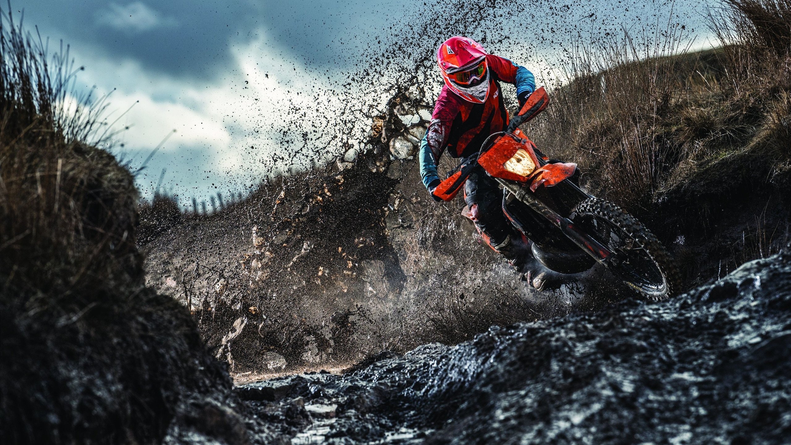 赛道上的双重奏，威廉姆斯完胜哈斯，阿隆索带队登顶